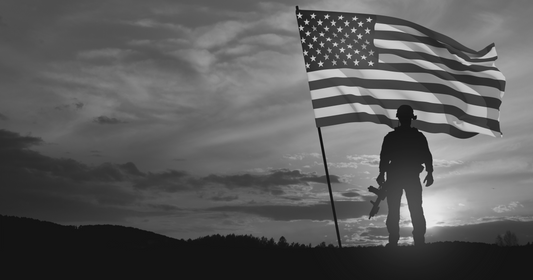 Veteran Wisdom: Life and Training Lessons from Those Who've Served